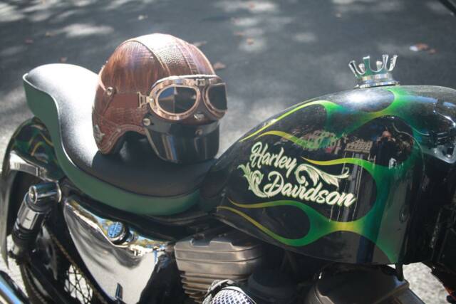 Bild 1/50 von Harley-Davidson DUMMY (1995)