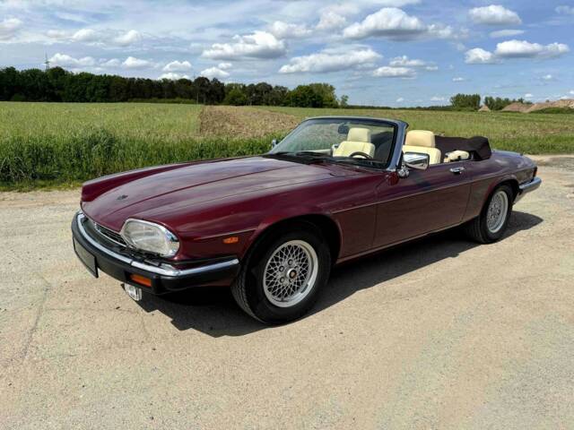 Image 1/50 de Jaguar XJS 5.3 V12 (1989)