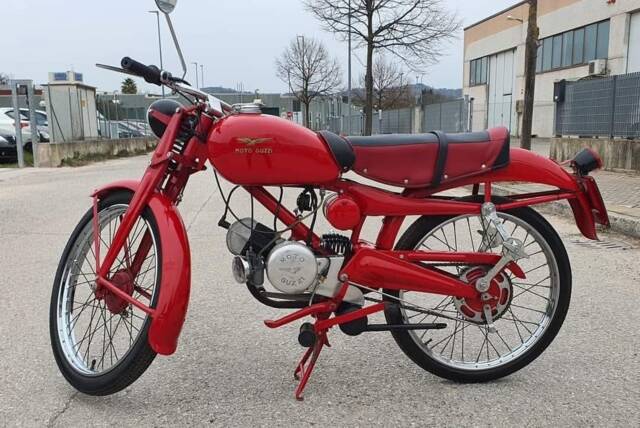 Bild 1/22 von Moto Guzzi DUMMY (1960)