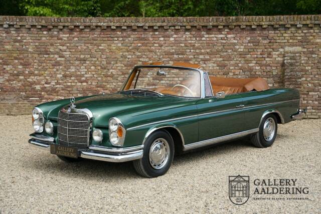Immagine 1/50 di Mercedes-Benz 220 SE b (1964)
