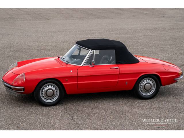 Image 1/29 of Alfa Romeo 1600 Spider Duetto (1967)