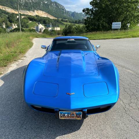 Imagen 1/24 de Chevrolet Corvette Stingray (1977)