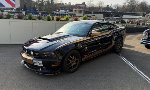 Bild 1/10 von Ford Mustang Shelby GT 500 (2009)