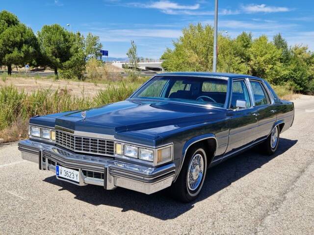 Image 1/7 de Cadillac Fleetwood Brougham (1977)