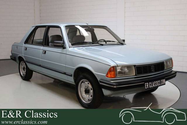 Imagen 1/30 de Peugeot 305 (1983)
