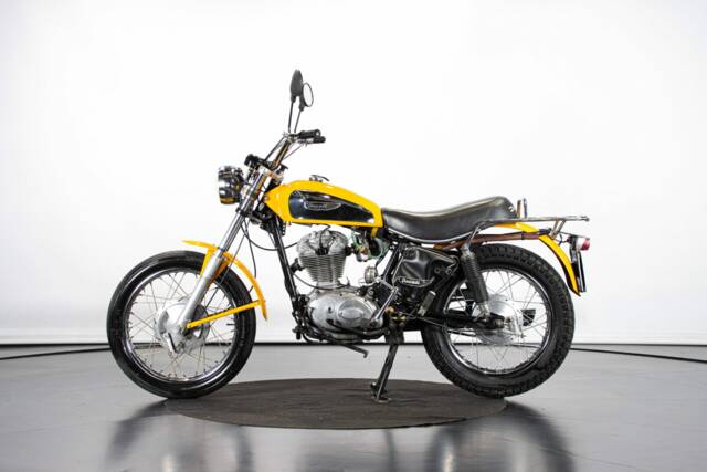 Bild 1/50 von Ducati 250 Scrambler (1971)