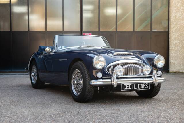 Bild 1/17 von Austin-Healey 3000 Mk III (BJ8) (1967)