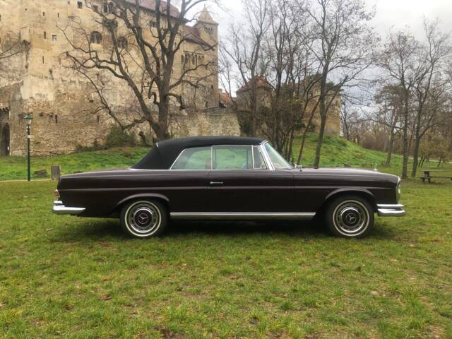 Bild 1/45 von Mercedes-Benz 280 SE (1969)