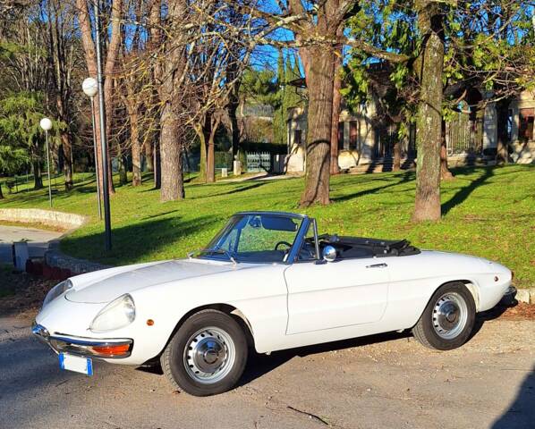 Bild 1/37 von Alfa Romeo 1750 Spider (1969)