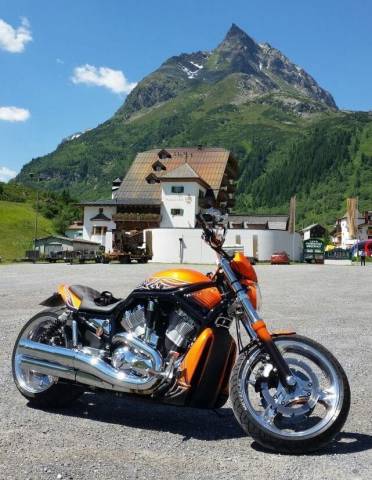 Immagine 1/7 di Harley-Davidson DUMMY (2004)