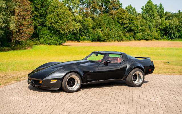 Image 1/42 of Chevrolet Corvette Sting Ray (1980)