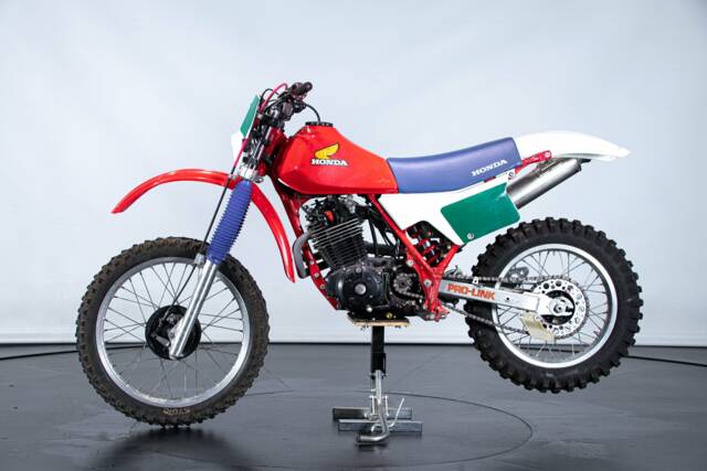 Immagine 1/50 di Honda DUMMY (1989)