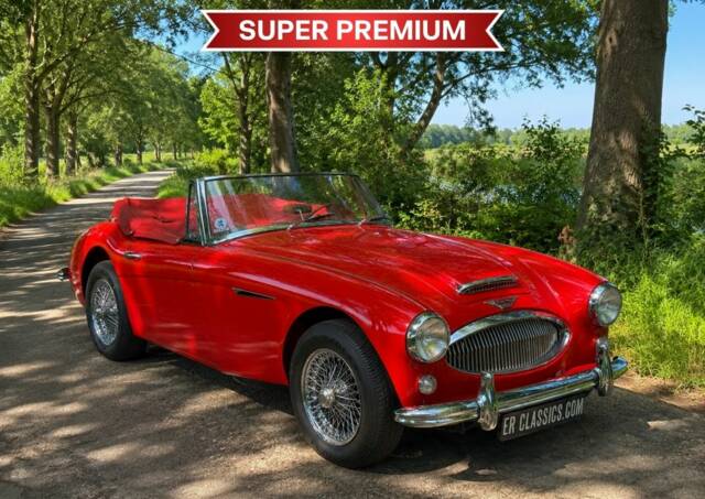 Image 1/8 of Austin-Healey 3000 Mk III (BJ8) (1966)