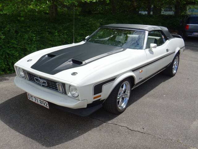 Image 1/50 of Ford Mustang 302 (1973)