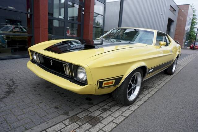 Immagine 1/21 di Ford Mustang 351 (1973)