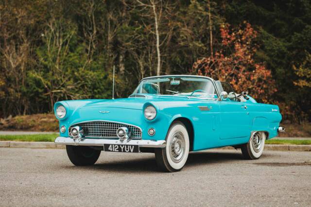 Bild 1/50 von Ford Thunderbird (1956)
