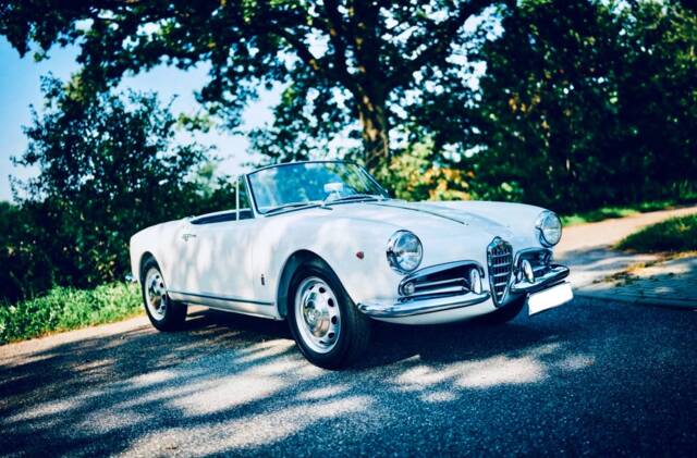 Afbeelding 1/12 van Alfa Romeo Giulietta Spider (1961)