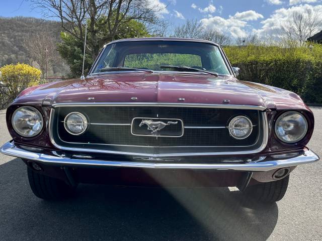 Bild 1/52 von Ford Mustang GT 390 (1967)