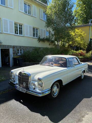 Bild 1/19 von Mercedes-Benz 250 SE (1965)