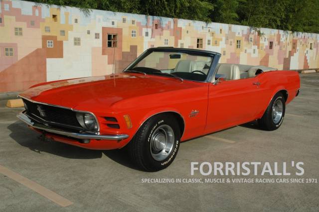 Image 1/46 of Ford Mustang 250 (1970)