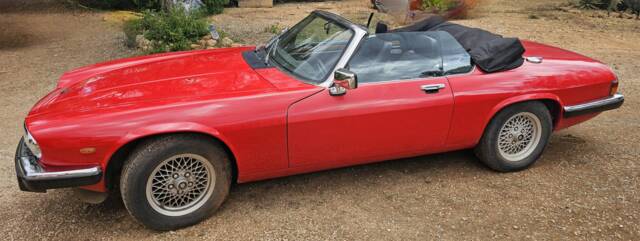 Bild 1/6 von Jaguar XJS 5.3 V12 (1989)