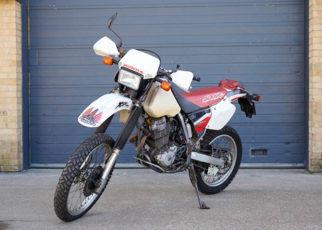 Bild 1/9 von Honda DUMMY (1997)