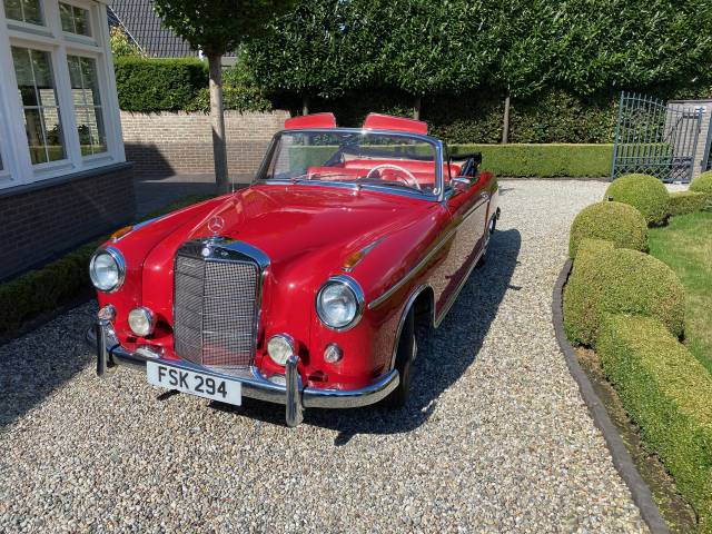 Bild 1/25 von Mercedes-Benz 220 S Cabriolet (1959)