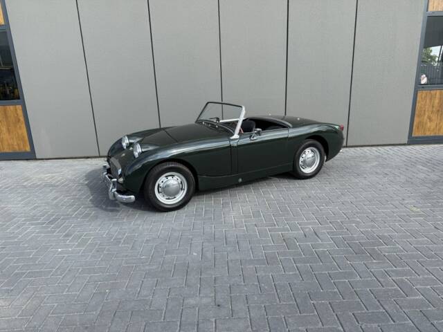 Imagen 1/13 de Austin-Healey Sprite Mk I (1960)