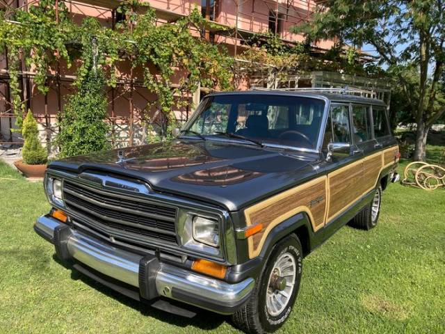 Image 1/9 of Jeep Grand Wagoneer (1988)