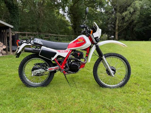 Immagine 1/41 di Honda XL 125 (1983)