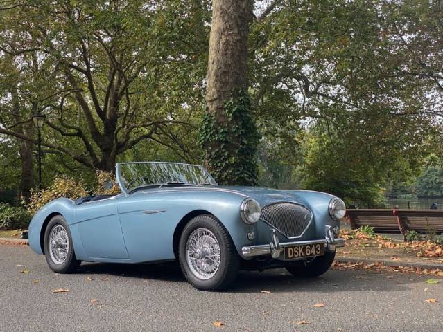 Immagine 1/49 di Austin-Healey 100/4 (BN1) (1954)