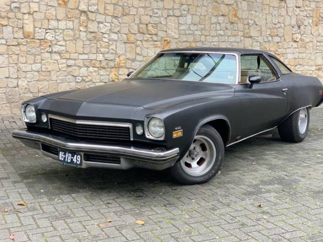 Image 1/9 of Buick GS 455 (1974)