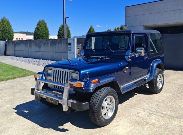 Afbeelding 1/33 van Jeep Wrangler 2.5L (1990)