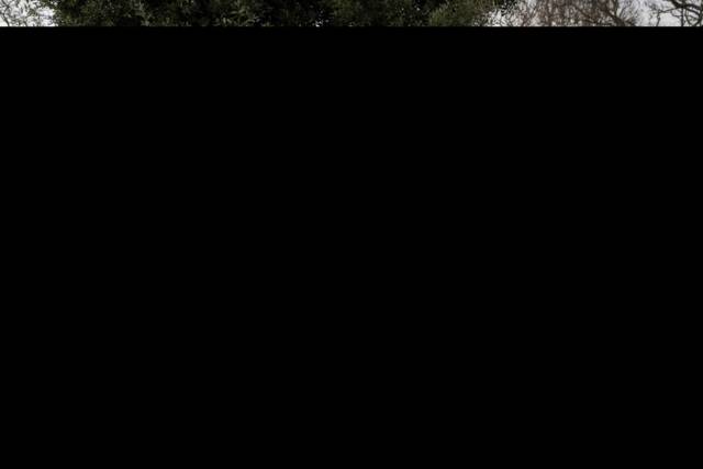 Image 1/25 of Porsche 911 Carrera GTS (2011)