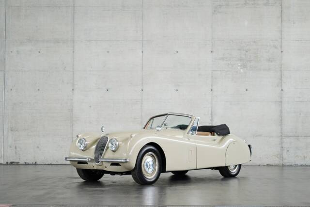 Bild 1/50 von Jaguar XK 120 DHC (1953)