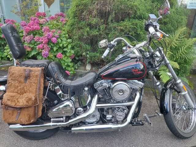 Image 1/4 of Harley-Davidson FXST 1340 Softail (1986)
