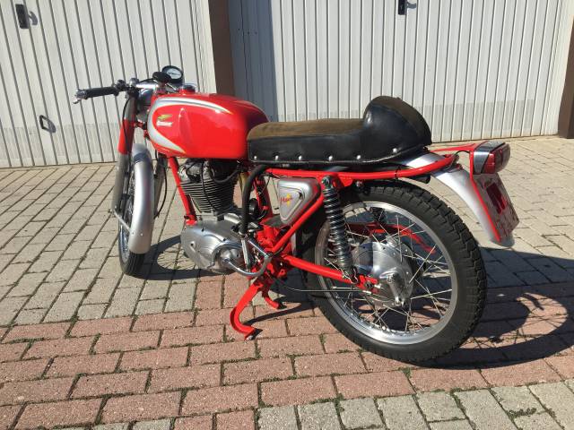 Image 1/22 of Ducati 250 Corsa (1962)