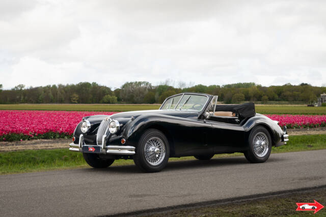 Bild 1/47 von Jaguar XK 140 DHC (1956)