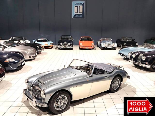 Imagen 1/72 de Austin-Healey 100/6 (BN4) (1957)