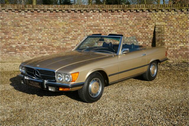 Bild 1/50 von Mercedes-Benz 450 SL (1973)