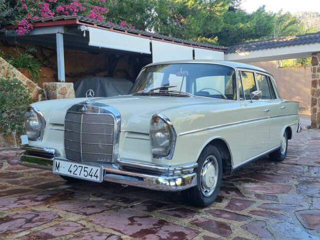 Image 1/8 de Mercedes-Benz 220 SE b (1965)