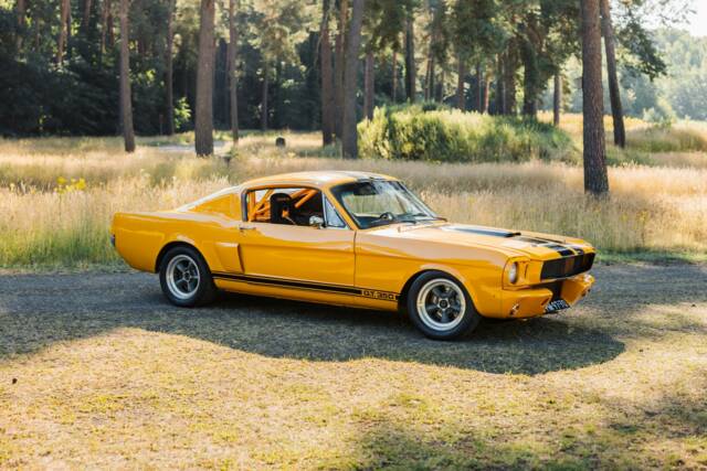 Bild 1/19 von Ford Mustang Custom (1965)