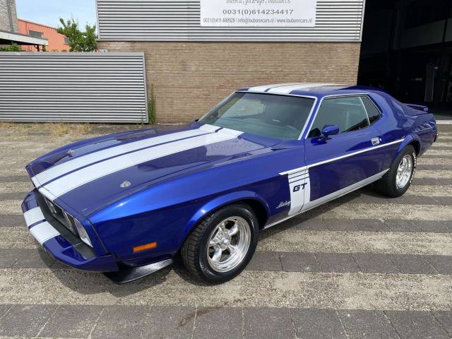 Image 1/30 of Ford Mustang 302 (1973)