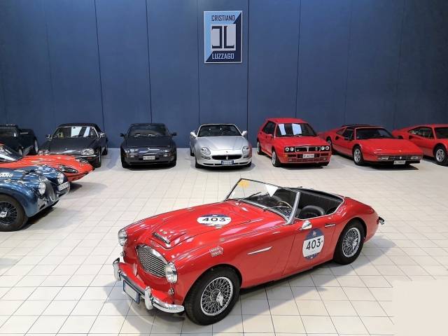 Bild 1/34 von Austin-Healey 100/6 (BN4) (1957)