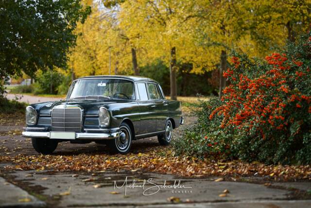 Bild 1/27 von Mercedes-Benz 220 S b (1965)