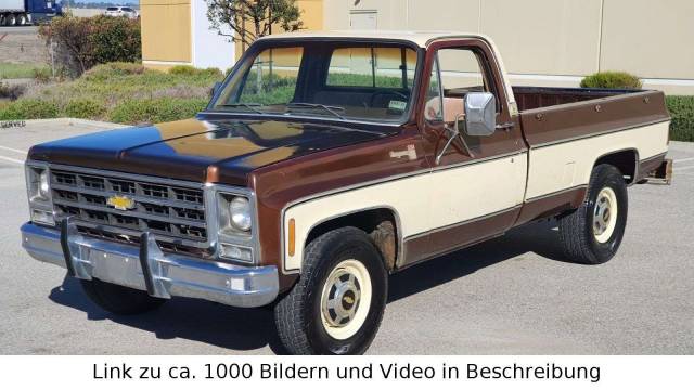 Afbeelding 1/20 van Chevrolet K10 Stepside (1979)