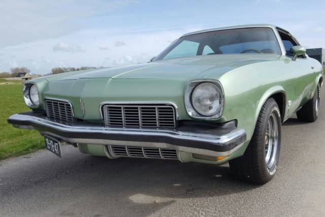 Bild 1/29 von Oldsmobile Cutlass 442 (1973)