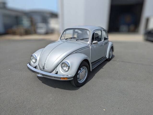 Afbeelding 1/53 van Volkswagen Kever Mexico Silver Bug (1981)