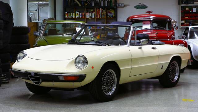 Bild 1/25 von Alfa Romeo 2000 Spider Veloce (1982)