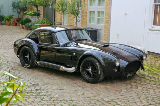 Image 1/50 de AC Cobra 289 (2008)